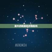 属牛的和属蛇的相配吗，属牛男和属蛇女在一起好不好
