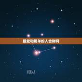 属蛇和属羊的人合财吗，属羊和属蛇的财运怎么样