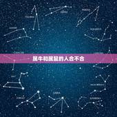 属牛和属鼠的人合不合，属鼠的人与属牛的人相配吗
