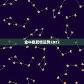 金牛座爱情运势2022，2021年金牛座的感情运势如何 今年能顺利结婚