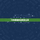 今年属猪的运势怎么样，属猪的人2021年运势及每月运程怎么样化解？