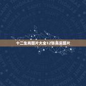 十二生肖图片大全12张真实图片，大家帮我看看这一张图片你们可以猜出一个