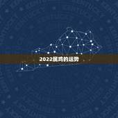 2022属鸡的运势，2022年12生肖运势解析