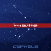 1970年属狗人今年运势，70年属狗未来十年运