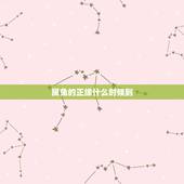 属兔的正缘什么时候到，八字测算免费