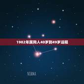 1982年属狗人40岁到49岁运程，1982年属狗女2021年运势及运