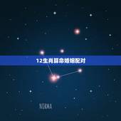12生肖算命婚姻配对，十二生肖相克相冲口诀