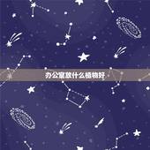 办公室放什么植物好，办公室忌讳放什么植物