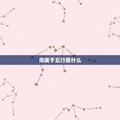 尚属于五行属什么，帮忙算下五行，名字！天运