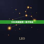 1995年属猪男一辈子命运，我的男朋友是1990年出生的4月马是什么命