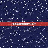夫妻俩都是属鼠的好不好，两口子都是属鼠的好吗