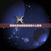 属猪的更佳婚配属相是什么属相，属猪女更佳属相婚配表