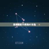 属相婚配75男兔87女兔，87年7月兔女和75年12月兔男是否婚配