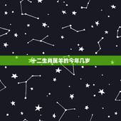 十二生肖属羊的今年几岁，2022 年属羊的人今年怎么样