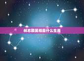 林志颖属相是什么生肖，属相列表