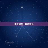 两个鼠在一起合财么，两个都属鼠的结婚好吗