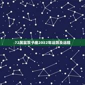72属鼠双子座2022年运势及运程，属鼠2022年运势及运程