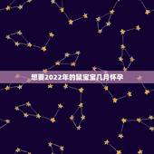 想要2022年的鼠宝宝几月怀孕，几月之前怀孕属鼠