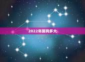 2022年属狗多大，属狗2022年运势及运程