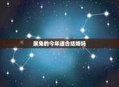 属兔的今年适合结婚吗，属兔宜带什么