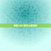 属鼠1997招什么属相好，1997年属鼠人运势如何