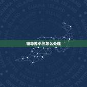 领导养小三怎么处理，领导让我做小三 我还没有结婚 怎么办