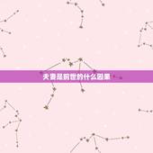 夫妻是前世的什么因果，夫妻前世今生因果报应