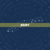 属蛇男不 女朋友是为什么，属蛇男为什么对女友冷战