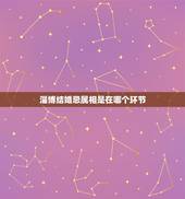 淄博结婚忌属相是在哪个环节，结婚当天忌什么属相