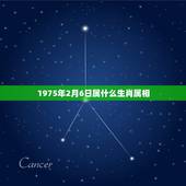 1975年2月6日属什么生肖属相，1975年的什么属相