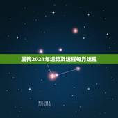 属狗2021年运势及运程每月运程，1970年属狗2021年运势及运程