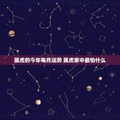 属虎的今年每月运势 属虎家中最怕什么