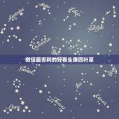微信最吉利的好看头像四叶草，微信用什么头像最吉利？