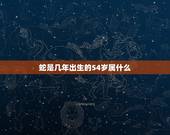蛇是几年出生的54岁属什么，81岁属蛇的是哪年出生