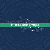 关于牛首属相的古玩收品图片，十二生肖石像牛首明朝有收价值吗希望你们