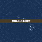 属相兔的6位幸运数字，属兔人的幸运数字和幸运颜色