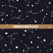属猪的水命起什么名好，属猪大海水命禁忌