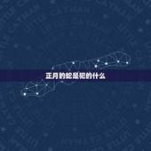 正月的蛇是犯的什么，属蛇的女人正月犯月吗