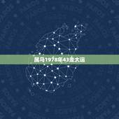 属马1978年43走大运，78年属马43岁大劫是什么