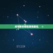 虎与羊的婚配属相最好，属虎和属羊的相配吗