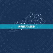 养龟的六大禁忌，家里养乌龟有哪些禁忌