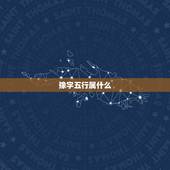 豫字五行属什么，豫在五行中是属啥的