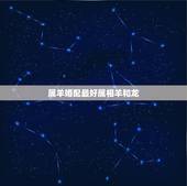 属羊婚配最好属相羊和龙，羊和龙婚姻相配吗