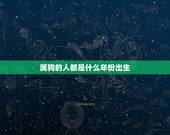 属狗的人都是什么年份出生，属马的人出生年份