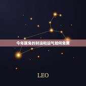 今年属兔的财运和运气如何免费，属兔人今年的财运、事业如何