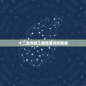 十二生肖晚上眼睛最亮的属相，12生肖中眼睛会发光发亮的一种生肖是什么？