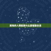 属兔的人婚配属什么属相最合适，属兔的人和什么属相最配，属兔的人和哪个属