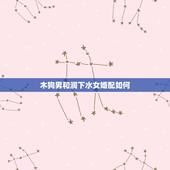木狗男和涧下水女婚配如何，涧下水命和什么命相配