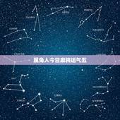 属兔人今日麻将运气五，测试今日麻将运势