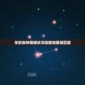 羊的各种婚姻状况指数和属相匹配，属羊的和什么属相相配